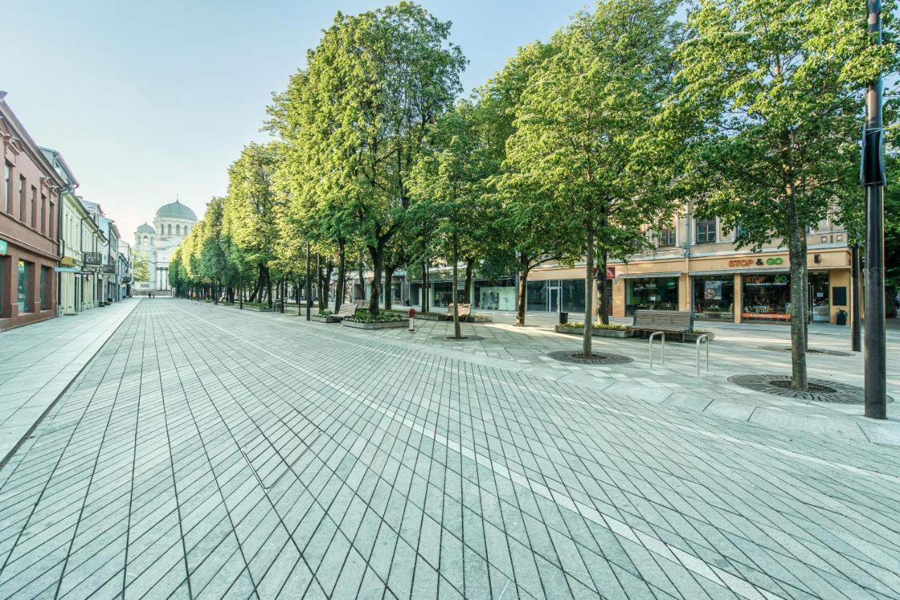 River City Apartments Kaunas Kültér fotó